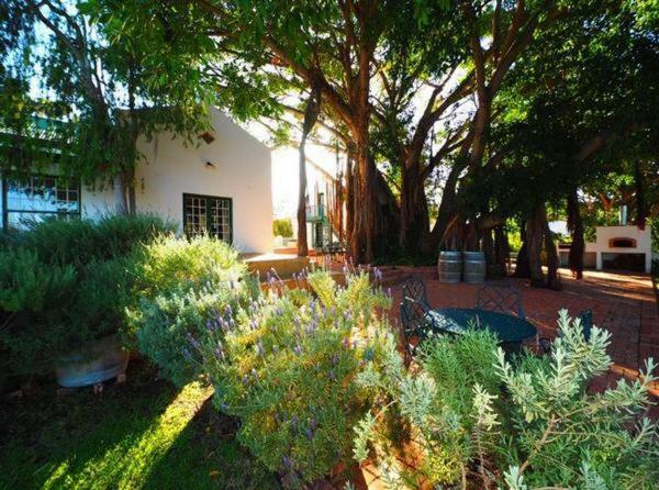 Apartament Tanagra Wine & Guestfarm McGregor Zewnętrze zdjęcie