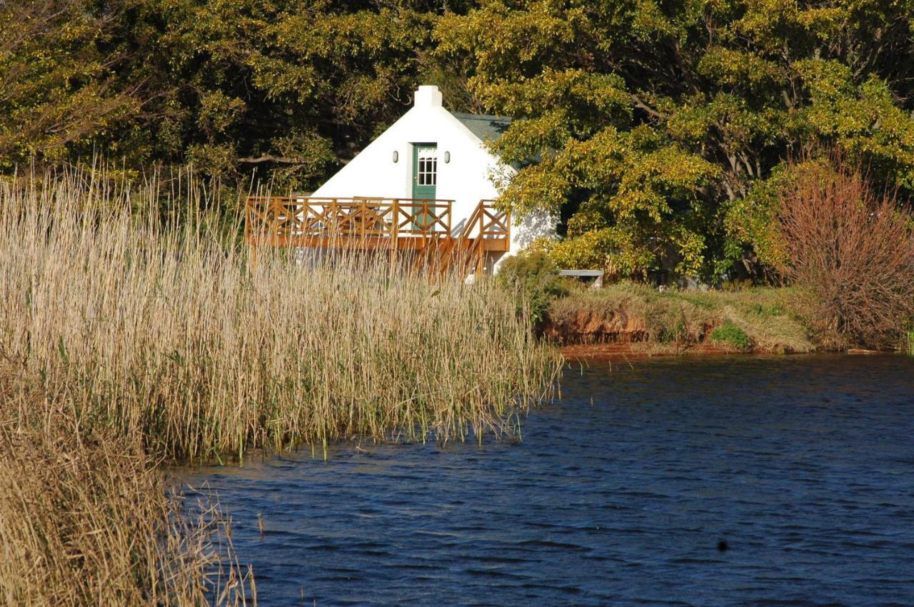 Apartament Tanagra Wine & Guestfarm McGregor Zewnętrze zdjęcie